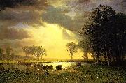 Albert Bierstadt, The_Buffalo_Trail